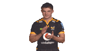 Rugby Sticker by Wasps