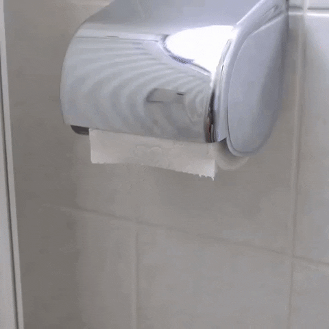 toilet paper poop GIF by The Chosen One