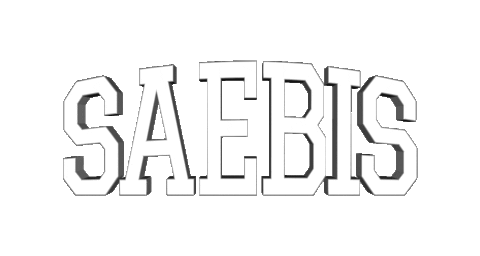 Sticker by saebis