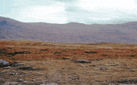hiking GIF