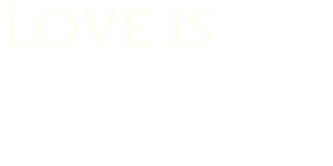 Wedding Dress Love Sticker by weddingsbysophie