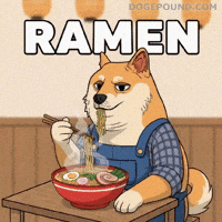 Hungry Shiba Inu GIF by Doge Pound