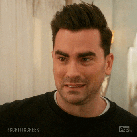 dan levy ok GIF by Schitt's Creek