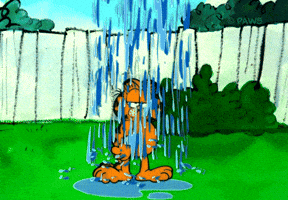 Cartoon gif. Garfield stands on a lawn as rain pours down only on him and the rest of the image has sunny weather.