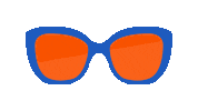 Summer Sunglasses Sticker by Apollo Optik