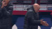 Ogc Nice Celebration GIF by Olympique de Marseille