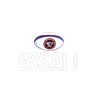 bordeaux top14 Sticker by UBB Rugby