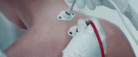 katy perry GIF by Zedd