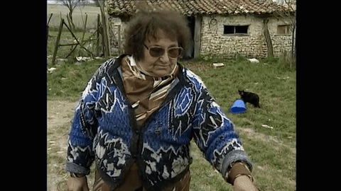 soucoupe perroquet GIF