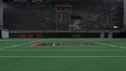 Mclane Mannix GIF by Texas Tech Football