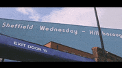 Owls S6 GIF by Sheffield Wednesday Football Club