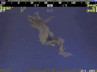 monsters GIF by Digg