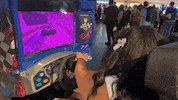 Arcade Games Twitch GIF