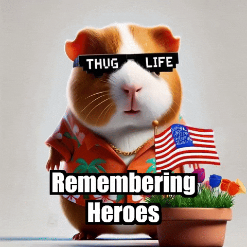Guinea Pig Remembrance GIF by Guinea Gambino