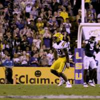 Lsu Football GIF by LSU Tigers