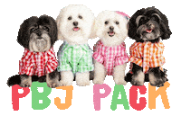 Dog Pack Sticker