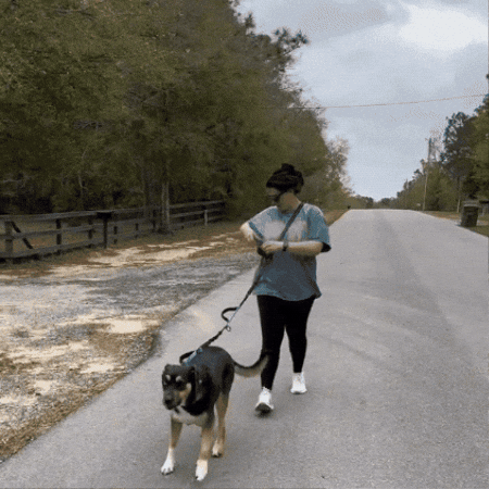 irish_2424 giphygifmaker GIF