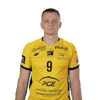 Volleyball Win Sticker by PGE GiEK Skra Bełchatów