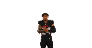 Aj Terrell Sticker by Atlanta Falcons