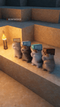 Dance Dancing GIF