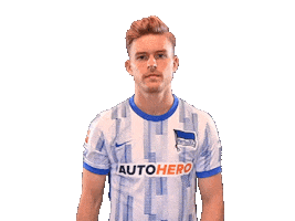 Hahohe Sticker by Hertha BSC