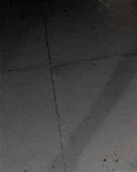 Vasco Da Gama GIF