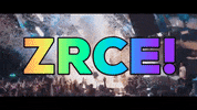 Party Festival GIF by zrce.eu