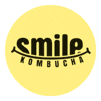 Belgium Crack Sticker by Smile Kombucha