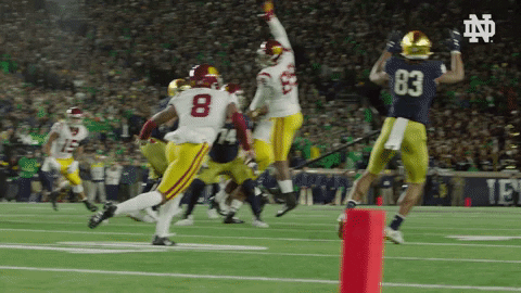 Notre Dame Catch GIF by Notre Dame Fighting Irish