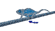 Chameleon Ropes Sticker by Teufelberger