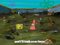 season 3 missing identity GIF by SpongeBob SquarePants