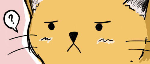 sad cat GIF by hoppip