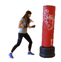 ASFITNESSCZ fitness gym exercise asfitness Sticker