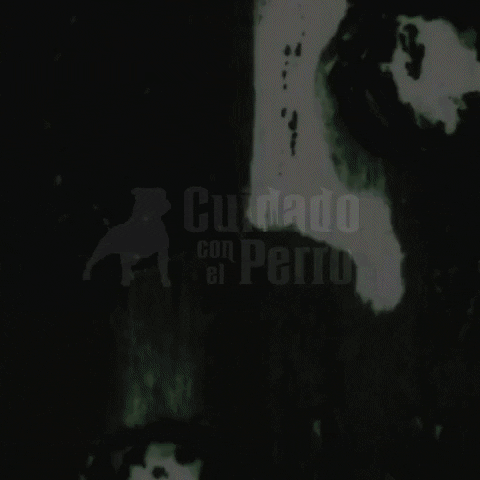 lidiaestepa giphyupload GIF