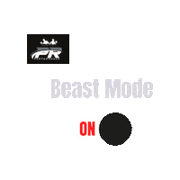 PPRerformance prpbeast Sticker