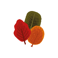 Fall Leaf Sticker by Muno Puzzle