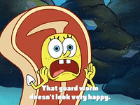 season 4 the lost mattress GIF by SpongeBob SquarePants