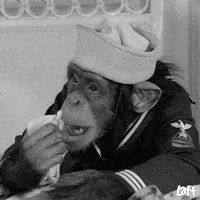 Black And White Monkey GIF by Laff