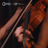 Now Hear This Public Tv GIF by GREAT PERFORMANCES | PBS