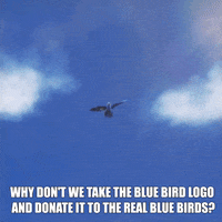 Endangered Species Bird GIF by Toyota USA