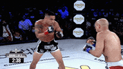 lightsoutxf fight mma punch fighting GIF