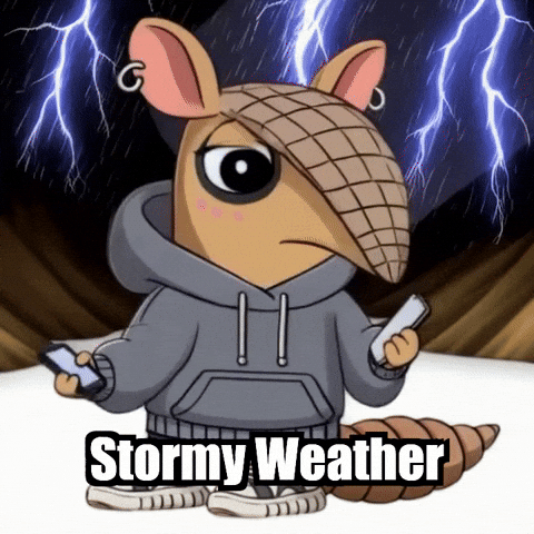 Stormy Weather Thunderstorm GIF by Chillo Dillo
