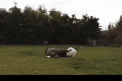 Scissors Lesbian Love GIF