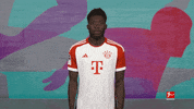 No Way Football GIF by Bundesliga