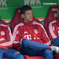 fcbayern football soccer bundesliga futbol GIF
