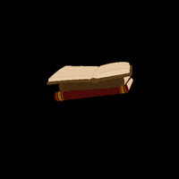 LittleCrappyPieces book books literature readmore GIF