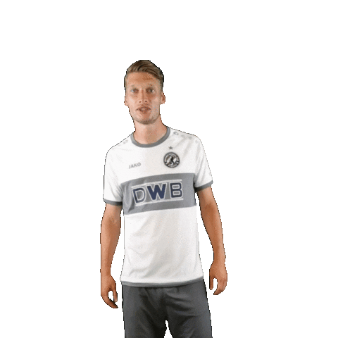 Blum Sticker by BFC Dynamo