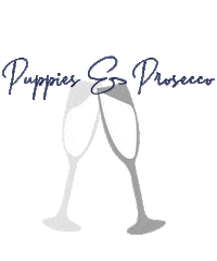 Spca Sticker by Jason Matthew