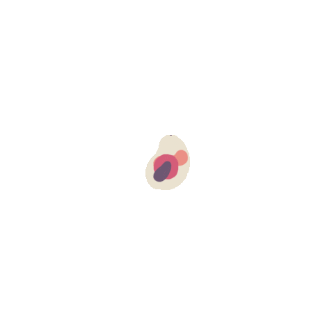 cell plop Sticker by Felix von Liska