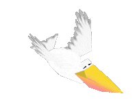 Pelican Sticker by JonDraws